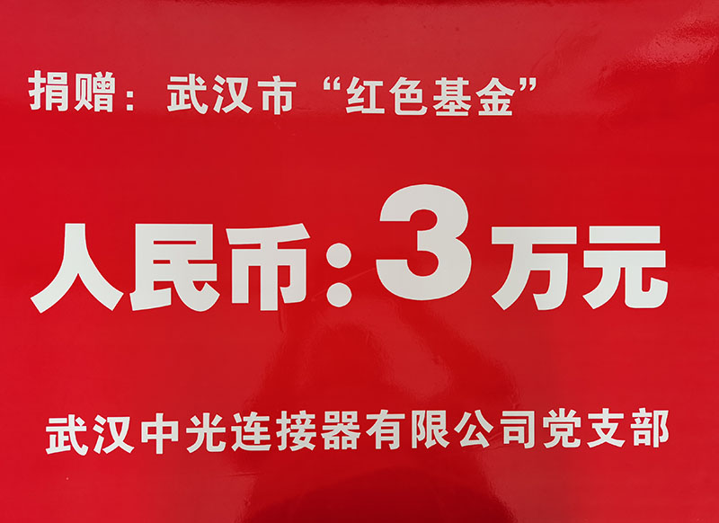 公司黨支部給武漢市“紅色基金”捐款